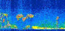 /calipso-imagery/data/BROWSE/production/V5-00/2021-01-10/2021-01-10_12-29-05_V5.00_3_thmb.png image missing