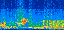 /calipso-imagery/data/BROWSE/production/V5-00/2021-01-10/2021-01-10_14-07-35_V5.00_2_thmb.png image missing