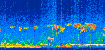 /calipso-imagery/data/BROWSE/production/V5-00/2021-01-10/2021-01-10_22-20-16_V5.00_3_thmb.png image missing