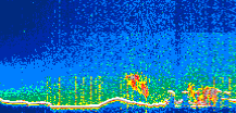 /calipso-imagery/data/BROWSE/production/V5-00/2021-01-16/2021-01-16_03-08-07_V5.00_1_thmb.png image missing