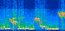 /calipso-imagery/data/BROWSE/production/V5-00/2021-01-16/2021-01-16_03-08-07_V5.00_2_thmb.png image missing