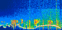 /calipso-imagery/data/BROWSE/production/V5-00/2021-01-16/2021-01-16_08-03-42_V5.00_1_thmb.png image missing