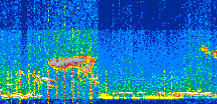 /calipso-imagery/data/BROWSE/production/V5-00/2021-01-16/2021-01-16_08-03-42_V5.00_2_thmb.png image missing