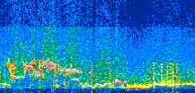 /calipso-imagery/data/BROWSE/production/V5-00/2021-01-16/2021-01-16_12-59-18_V5.00_2_thmb.png image missing