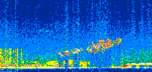 /calipso-imagery/data/BROWSE/production/V5-00/2021-01-16/2021-01-16_14-37-48_V5.00_3_thmb.png image missing