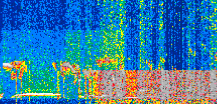 /calipso-imagery/data/BROWSE/production/V5-00/2021-01-16/2021-01-16_17-54-49_V5.00_2_thmb.png image missing