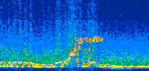 /calipso-imagery/data/BROWSE/production/V5-00/2021-01-16/2021-01-16_21-11-54_V5.00_3_thmb.png image missing