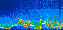 /calipso-imagery/data/BROWSE/production/V5-00/2021-01-16/2021-01-16_22-50-24_V5.00_1_thmb.png image missing