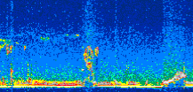 /calipso-imagery/data/BROWSE/production/V5-00/2021-01-17/2021-01-17_02-07-30_V5.00_3_thmb.png image missing