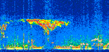 /calipso-imagery/data/BROWSE/production/V5-00/2021-01-17/2021-01-17_03-46-00_V5.00_3_thmb.png image missing