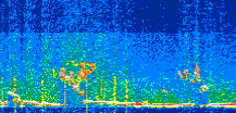 /calipso-imagery/data/BROWSE/production/V5-00/2021-01-17/2021-01-17_07-03-00_V5.00_2_thmb.png image missing