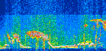 /calipso-imagery/data/BROWSE/production/V5-00/2021-01-17/2021-01-17_11-58-36_V5.00_2_thmb.png image missing