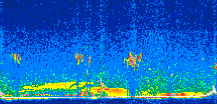 /calipso-imagery/data/BROWSE/production/V5-00/2021-01-17/2021-01-17_13-37-06_V5.00_3_thmb.png image missing