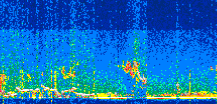 /calipso-imagery/data/BROWSE/production/V5-00/2021-01-17/2021-01-17_21-49-47_V5.00_2_thmb.png image missing