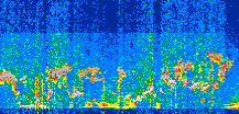 /calipso-imagery/data/BROWSE/production/V5-00/2021-01-20/2021-01-20_02-22-34_V5.00_2_thmb.png image missing