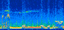 /calipso-imagery/data/BROWSE/production/V5-00/2021-01-20/2021-01-20_02-22-34_V5.00_3_thmb.png image missing
