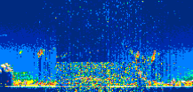 /calipso-imagery/data/BROWSE/production/V5-00/2021-01-20/2021-01-20_03-15-04_V5.00_3_thmb.png image missing