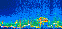 /calipso-imagery/data/BROWSE/production/V5-00/2021-01-20/2021-01-20_04-01-04_V5.00_1_thmb.png image missing