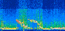 /calipso-imagery/data/BROWSE/production/V5-00/2021-01-20/2021-01-20_08-56-39_V5.00_2_thmb.png image missing