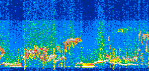 /calipso-imagery/data/BROWSE/production/V5-00/2021-01-20/2021-01-20_12-13-45_V5.00_2_thmb.png image missing