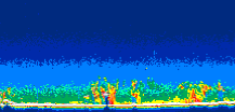 /calipso-imagery/data/BROWSE/production/V5-00/2021-01-20/2021-01-20_19-40-16_V5.00_1_thmb.png image missing