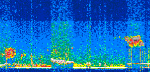 /calipso-imagery/data/BROWSE/production/V5-00/2021-01-20/2021-01-20_20-26-21_V5.00_2_thmb.png image missing
