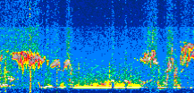 /calipso-imagery/data/BROWSE/production/V5-00/2021-01-22/2021-01-22_01-59-50_V5.00_2_thmb.png image missing