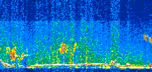 /calipso-imagery/data/BROWSE/production/V5-00/2021-01-22/2021-01-22_08-33-55_V5.00_2_thmb.png image missing