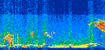 /calipso-imagery/data/BROWSE/production/V5-00/2021-01-22/2021-01-22_11-50-56_V5.00_2_thmb.png image missing