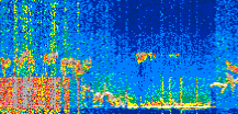 /calipso-imagery/data/BROWSE/production/V5-00/2021-01-22/2021-01-22_18-25-02_V5.00_3_thmb.png image missing