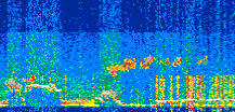 /calipso-imagery/data/BROWSE/production/V5-00/2021-01-22/2021-01-22_20-03-32_V5.00_2_thmb.png image missing