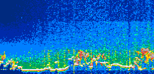 /calipso-imagery/data/BROWSE/production/V5-00/2021-01-25/2021-01-25_02-14-54_V5.00_1_thmb.png image missing