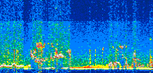 /calipso-imagery/data/BROWSE/production/V5-00/2021-01-25/2021-01-25_03-53-29_V5.00_2_thmb.png image missing