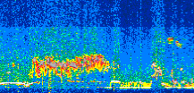 /calipso-imagery/data/BROWSE/production/V5-00/2021-01-25/2021-01-25_07-10-29_V5.00_2_thmb.png image missing