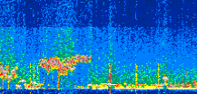 /calipso-imagery/data/BROWSE/production/V5-00/2021-01-25/2021-01-25_08-49-00_V5.00_2_thmb.png image missing