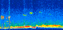 /calipso-imagery/data/BROWSE/production/V5-00/2021-01-25/2021-01-25_10-27-35_V5.00_3_thmb.png image missing