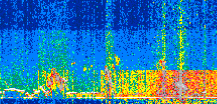 /calipso-imagery/data/BROWSE/production/V5-00/2021-01-25/2021-01-25_15-23-05_V5.00_2_thmb.png image missing