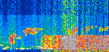 /calipso-imagery/data/BROWSE/production/V5-00/2021-01-25/2021-01-25_17-01-41_V5.00_2_thmb.png image missing