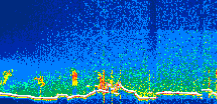 /calipso-imagery/data/BROWSE/production/V5-00/2021-01-28/2021-01-28_02-30-03_V5.00_1_thmb.png image missing