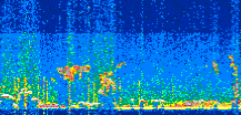 /calipso-imagery/data/BROWSE/production/V5-00/2021-01-28/2021-01-28_09-04-09_V5.00_2_thmb.png image missing