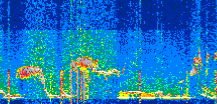/calipso-imagery/data/BROWSE/production/V5-00/2021-01-28/2021-01-28_10-42-44_V5.00_2_thmb.png image missing