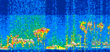 /calipso-imagery/data/BROWSE/production/V5-00/2021-01-28/2021-01-28_12-21-14_V5.00_2_thmb.png image missing