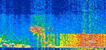 /calipso-imagery/data/BROWSE/production/V5-00/2021-01-28/2021-01-28_15-38-14_V5.00_2_thmb.png image missing