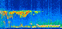 /calipso-imagery/data/BROWSE/production/V5-00/2021-01-30/2021-01-30_03-45-49_V5.00_3_thmb.png image missing
