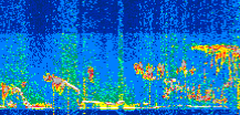 /calipso-imagery/data/BROWSE/production/V5-00/2021-01-30/2021-01-30_05-24-24_V5.00_2_thmb.png image missing