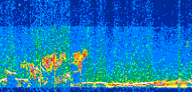 /calipso-imagery/data/BROWSE/production/V5-00/2021-01-30/2021-01-30_07-02-54_V5.00_2_thmb.png image missing
