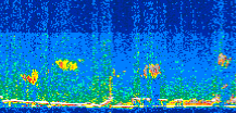 /calipso-imagery/data/BROWSE/production/V5-00/2021-01-30/2021-01-30_08-41-25_V5.00_2_thmb.png image missing