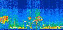 /calipso-imagery/data/BROWSE/production/V5-00/2021-01-30/2021-01-30_21-49-36_V5.00_2_thmb.png image missing