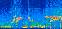 /calipso-imagery/data/BROWSE/production/V5-00/2021-02-20/2021-02-20_00-36-32_V5.00_3_thmb.png image missing