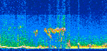 /calipso-imagery/data/BROWSE/production/V5-00/2021-02-20/2021-02-20_21-57-25_V5.00_2_thmb.png image missing